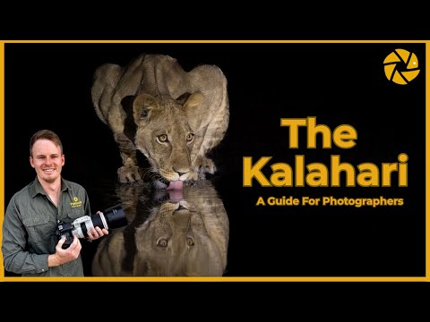 Die Kalahari Ein Leitfaden Für Fotografen Die Kalahari Ein Leitfaden Für Fotografen