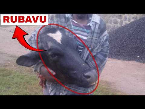 AMAKURU KUBURYO BURAMBUYE RUBAVU UMUGABO YAFATANWE IGIHANGA CY INKA ASHAKA KUCYAMBUTSA MURI CONGO