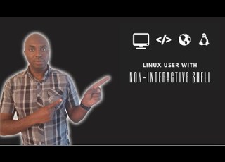 Project 148 Upgrading Non Interactive Shells On Compromised Linux Hosts