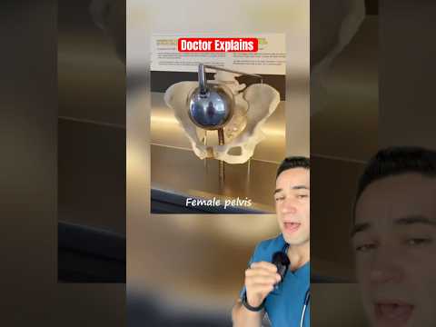 Why Male And Female Skeletons Are Different