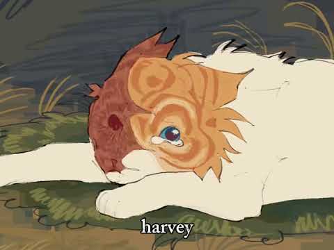 Harvey Cloudtail Brightheart Amv
