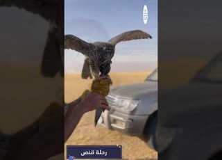  رحلة قنص الدبدبه