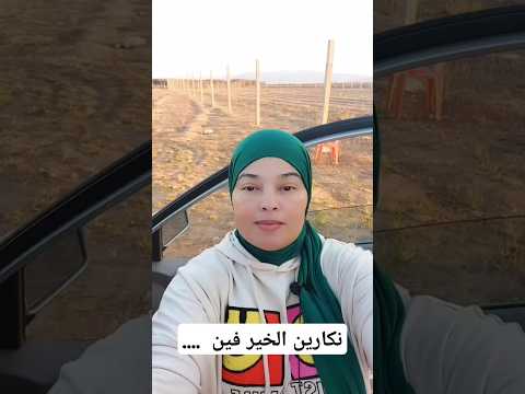 نكارين الخير فين المغرب الجزائر السعودية مصر Foryou Fyp Shortvideo Shorts
