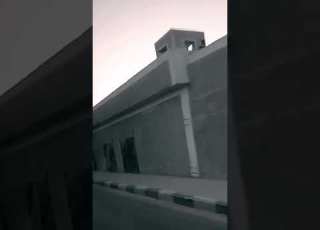 هما فين رايح جاي