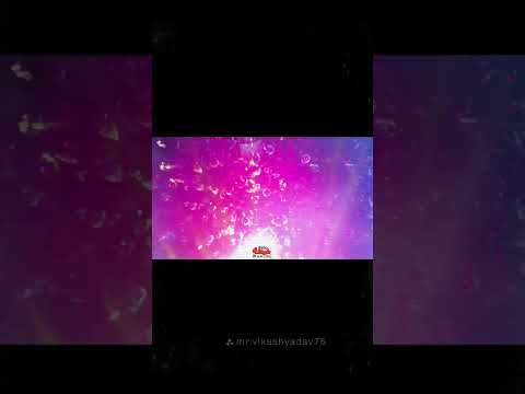 اقوى الليالي مع الفنان احمد الصعيدي اقوى ليلي 2026 اقوى الليالي مع الفنان احمد الصعيدي اقوى ليلي 2026