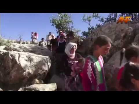 اغتصاب أيزيديات وتعذيبهن على يد داعش بحسب العفو الدولية