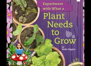 Experiment With What A Plant Needs To Grow