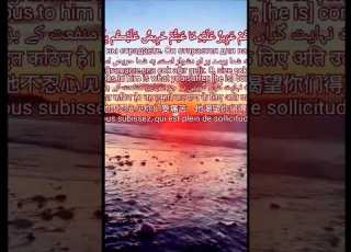 عبدالباسط عبدالصمد لقد جاءكم رسول من أنفسكم