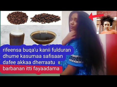 Rifeensa Buqaa U Cicitu Safisan Akkaa Dheerratu Zayiti Yeroo Gabaabati Jijirama Gudda Argamisu Qabu