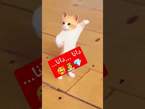 جوجو جوجو دانا دنا الحلوة دانا العراق السعودية قطر الكويت مصر الإمارات البحرين عمان الجزائر