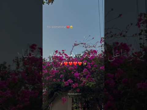 اغلى من عينيا والعيون تشهد عليا تصميمي Foryou حالات واتس بتاعedit اغلى من عينيا والعيون تشهد عليا تصميمي Foryou حالات واتس بتاعedit