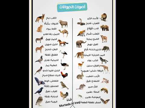 أصوات الحيوانات