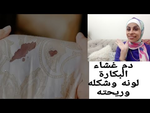 تفاصيل دم غشاء البكارة لونه وريحته وكميته وشكله هبه والمراه هبه حنفي تفاصيل دم غشاء البكارة لونه وريحته وكميته وشكله هبه والمراه هبه حنفي