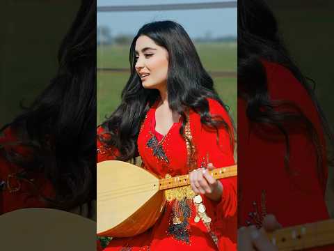 Nazlyie Müzik Ezdixan Kurdischgirl Kurdi Kurdisch Cover Saz Shorts Music Kordi