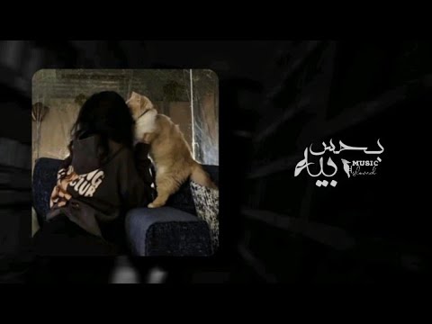 اغمض عيني اشوف صورتك بطيء بحس بيه بطيء رامي صبري