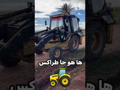 هاهو جا طراكس Shorts Short