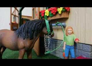  Was Reiter Sagen Vs Was Pferde Denken Mit Flecki Love
