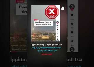 غربان حامت فوق تل أبيب