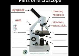 Parts Of Microscope