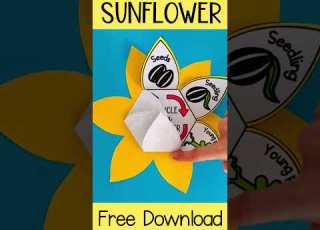  Sunflower Life Cycle Cut And Paste Activity Free Download