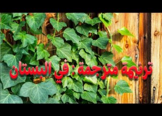  ترنيمة مترجمة في البستان In The Garden By Kari Jobe