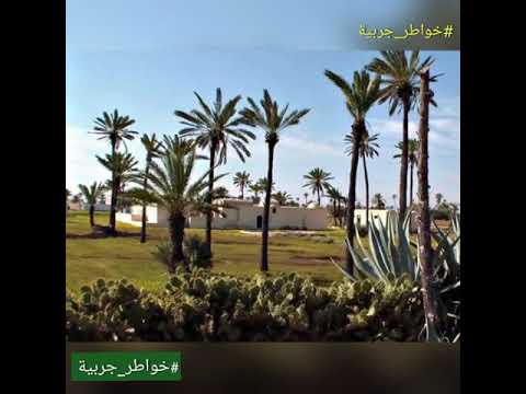 بولكباش يعز علي ا تراث جربي حبيب الجبالي