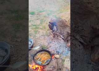 ماسی سه سوته به دست جوانکانی دایکم کوردستان دایک غذای گیاهی