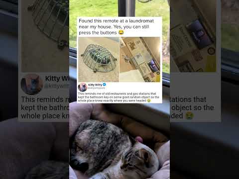 Maximum Security Television Control System