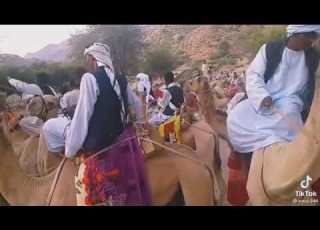 عامراب دهب