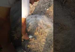 صیدسمک المحمره جزیره صلبوخ ۱۴۰۰ ۱۰ ۱۵