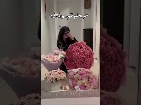 عم يحلم قلبي برجال طفران ودرويش حالات واتس اب بنات غرور وڪبرياء ستوريات انستا حزينة ستوريات غرور