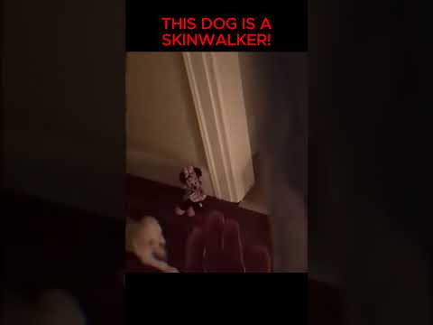 She Outsmart A SKINWALKER Urbanlegend Scary Skinwalker She Outsmart A SKINWALKER Urbanlegend Scary Skinwalker