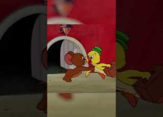 When Ducks Fly TomandJerry ClassicCartoons Shorts Watch More On Cartoonito Africa