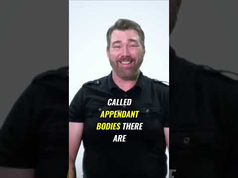 Freemason Reveals What Is A 33rd Degree Mason Part 1 Scottishrite Freemasonry 33degrees