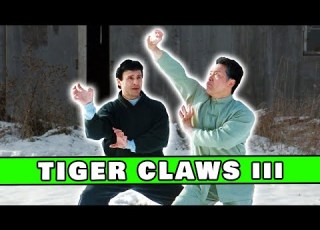  This Movie Completely Broke My Wife The Worst Ending Ever So Bad It S Good 124 Tiger Claws III