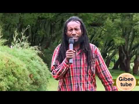 Geerarsa Oromoo Jaal Jigsaa Abdiisaa Gaanfuree Lucce Barii