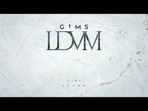 GIMS INTRO Audio Officiel