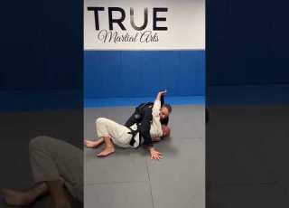  TRUEjitsu Side Control Lapel Sweep Option 2