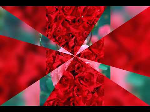 شافا وقلبه دقلا بدون ايقاع انشود فرح اجمل ما تكون اناشيد اسلاميه