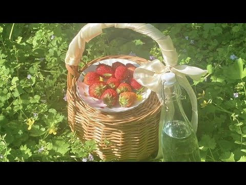 معلومات عن قرين الانثى العاشق ممنوع سرقة المعلومات أو المونتاج قريني العزيز قريني المز