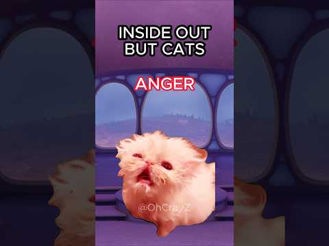 CAT MEMES INSIDE OUT BUT CATS Cat Catlover Catvideos Insideout Shorts