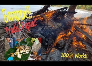 Barapen Bakar Batu Tradisi Suku Di Papua