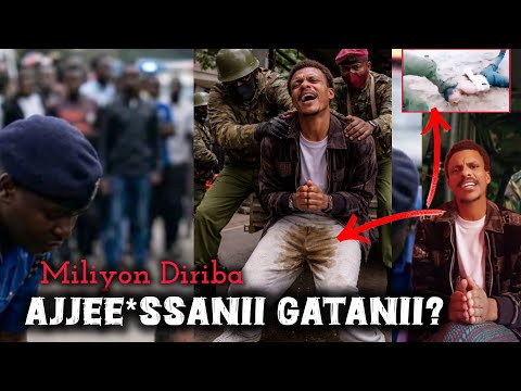 Miliyon Diriba Fincaan Ofirratti Lakkise Arraabuma Isaatiin Boolla Ofii Qote Qubee Media