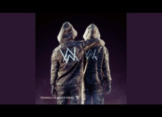  Alan Walker Hero VIP Remix Vs Triangle Alliance Remix Alan Walker Mashup