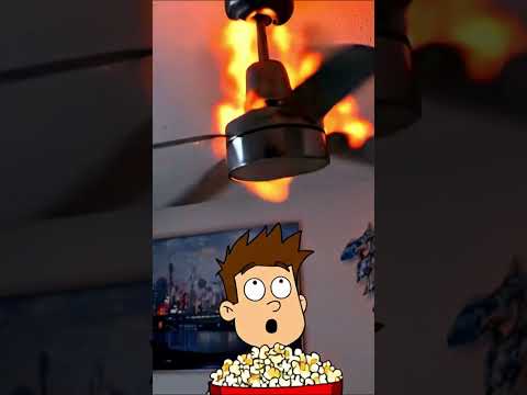 The Falling Ceiling Fan 15