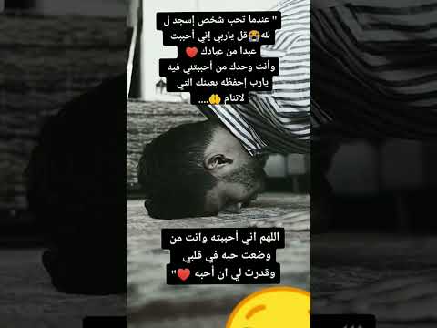 أغاني حزينه جدا جدا لدرجة البكاء حالات حزينه جدا جدا لدرجة البكاء اغنيه حزينه جدا جدا جدا