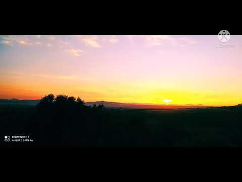 جمال الصغير موسى المغراوي Live 2