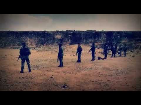 ثورة لا تنتهي بعد ركب الشهداء