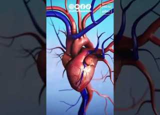  هذا ما يحدث عند الإقلاع عن التدخين الجزء الأول