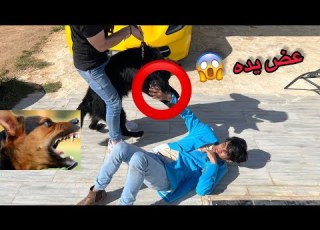  مقلب في المودل عزوز الكلب عض يده شوفو وش صار